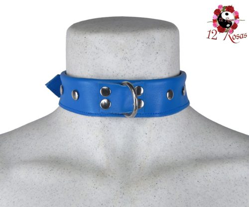 Collar Maximum Azul Frontal 3