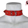Collar Maximum Rojo Frontal 3