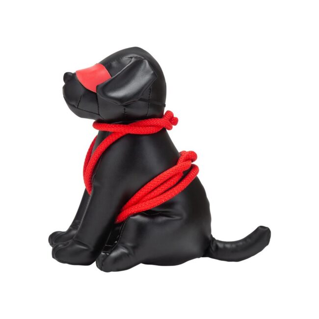 ROPED UP ROVER  EX39719 - Imagen 5