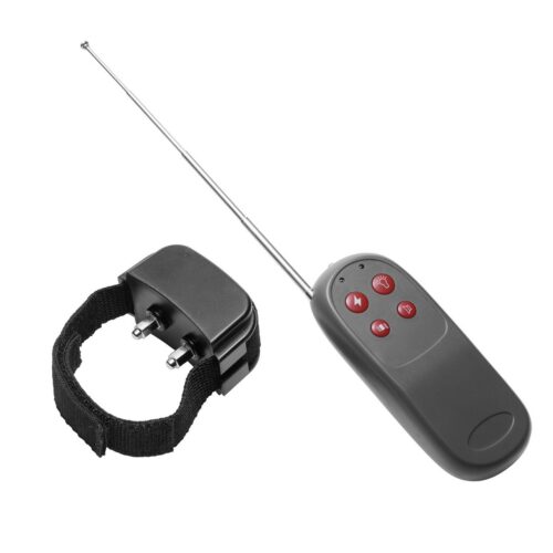 COCK SHOCK  EX42645