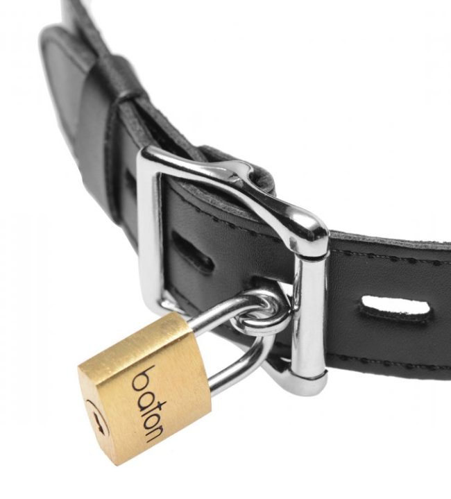 Collar electro-estimulacion (Control Remoto) - Imagen 3