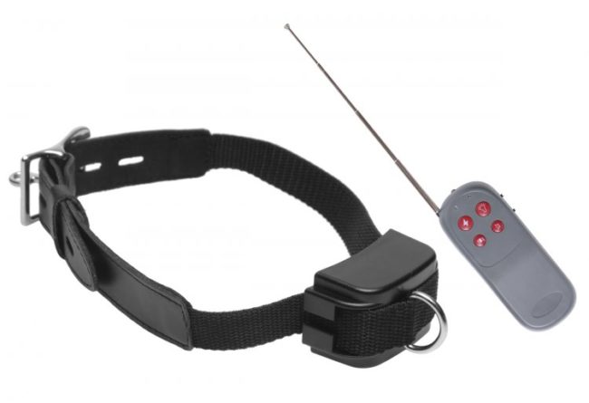 Collar electro-estimulacion (Control Remoto) - Imagen 2
