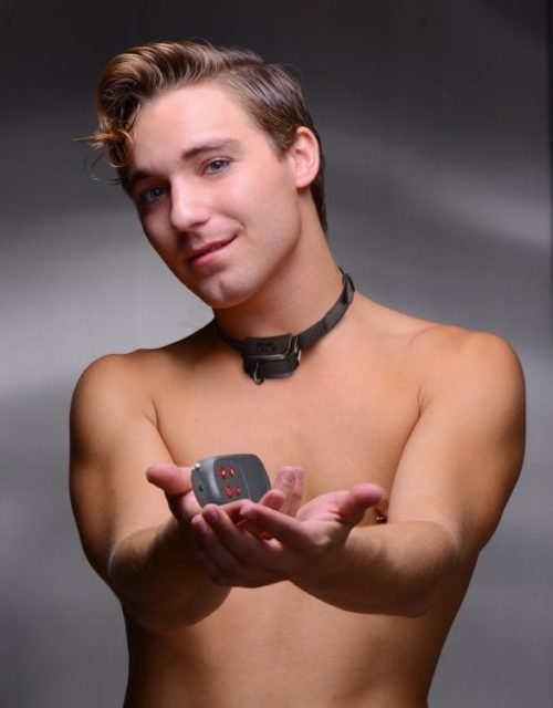 Collar electro-estimulacion (Control Remoto)